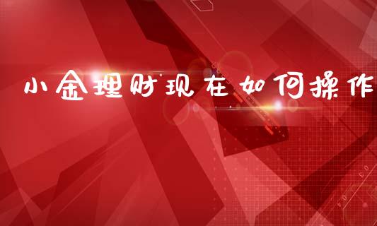 小金理财现在如何操作_https://m.15771688.com_道指实时行情_第1张
