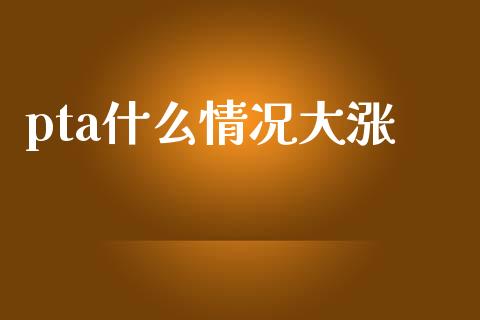 pta什么情况大涨_https://m.15771688.com_美国道指_第1张