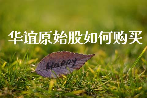 华谊原始股如何购买_https://m.15771688.com_期货开户_第1张