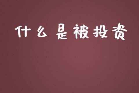 什么是被投资_https://m.15771688.com_美国道指_第1张