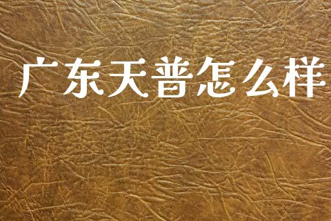 广东天普怎么样_https://m.15771688.com_期货开户_第1张