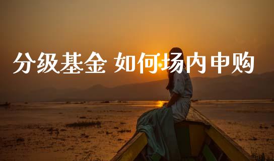 分级基金 如何场内申购_https://m.15771688.com_期货手续费_第1张