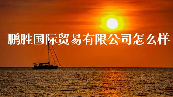 鹏胜国际贸易有限公司怎么样_https://m.15771688.com_道指实时行情_第1张