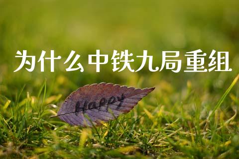 为什么中铁九局重组_https://m.15771688.com_道指实时行情_第1张