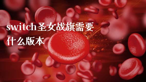 switch圣女战旗需要什么版本_https://m.15771688.com_美国道指_第1张