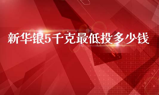 新华银5千克最低投多少钱_https://m.15771688.com_道指实时行情_第1张