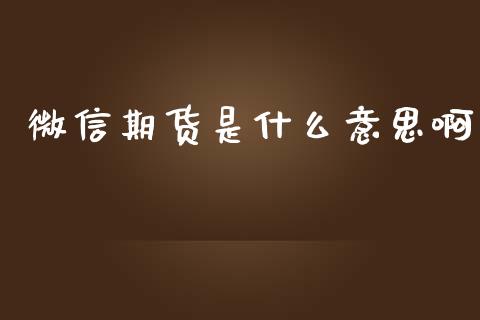 微信期货是什么意思啊_https://m.15771688.com_期货手续费_第1张