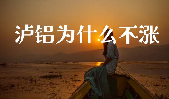 泸铝为什么不涨_https://m.15771688.com_道指实时行情_第1张