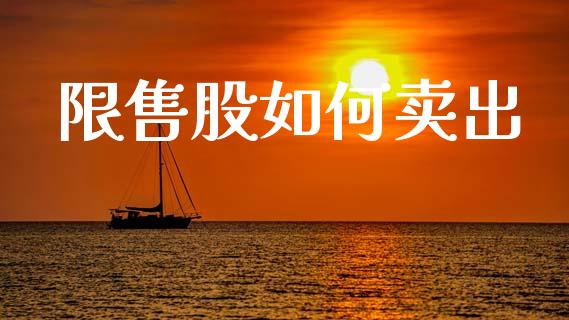 限售股如何卖出_期货开户_第1张_期货开户_期货手续费_道指实时行情_美国道指 限售股如何卖出_https://m.15771688.com_期货开户_第1张