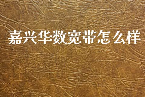 嘉兴华数宽带怎么样_https://m.15771688.com_期货手续费_第1张