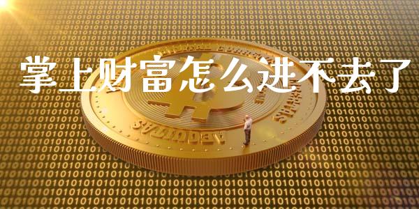 掌上财富怎么进不去了_https://m.15771688.com_期货开户_第1张