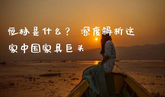 恒林是什么？ 深度解析这家中国家具巨头_https://m.15771688.com_期货开户_第1张