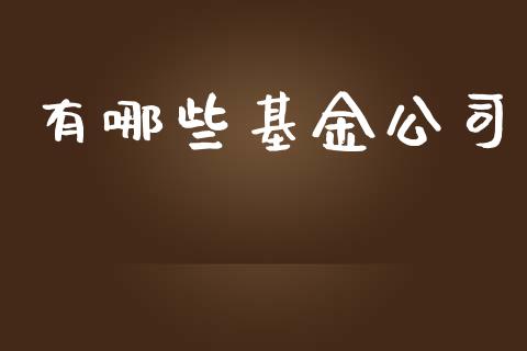 有哪些基金公司_https://m.15771688.com_美国道指_第1张