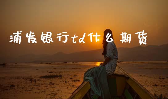 浦发银行td什么期货_https://m.15771688.com_期货开户_第1张