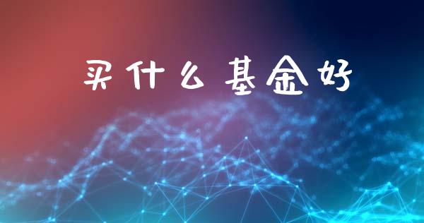 买什么基金好_https://m.15771688.com_期货手续费_第1张