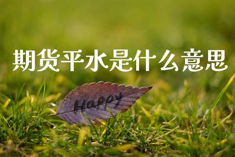 期货平水是什么意思_https://m.15771688.com_道指实时行情_第1张