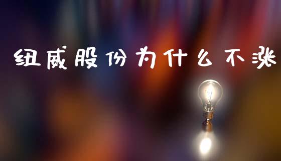 纽威股份为什么不涨_https://m.15771688.com_期货手续费_第1张