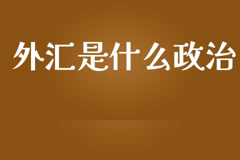 外汇是什么政治_https://m.15771688.com_美国道指_第1张