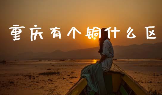 重庆有个铜什么区_https://m.15771688.com_期货开户_第1张