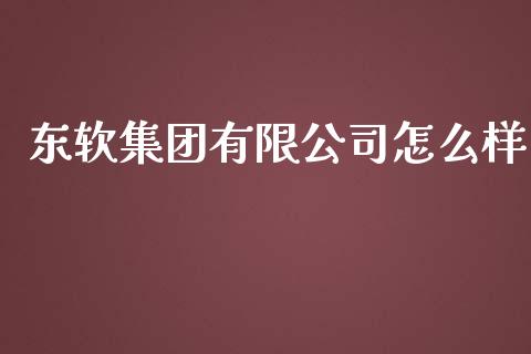 东软集团有限公司怎么样_https://m.15771688.com_道指实时行情_第1张