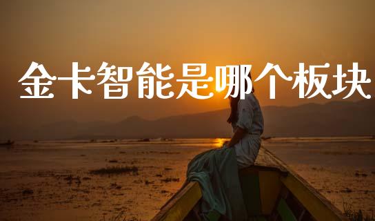 金卡智能是哪个板块_https://m.15771688.com_期货开户_第1张