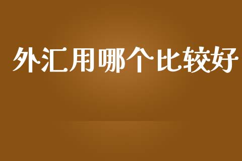 外汇用哪个比较好_https://m.15771688.com_道指实时行情_第1张
