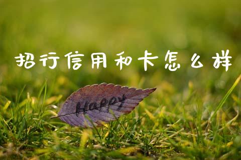 招行信用和卡怎么样_https://m.15771688.com_道指实时行情_第1张
