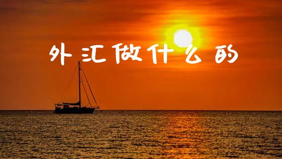 外汇做什么的_https://m.15771688.com_期货开户_第1张