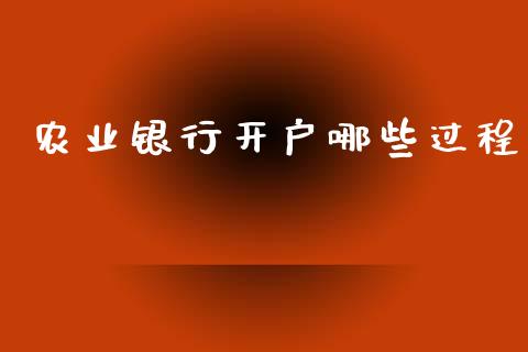 农业银行开户哪些过程_https://m.15771688.com_期货开户_第1张
