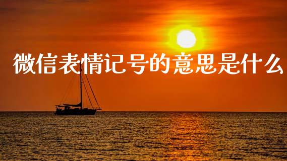 微信表情记号的意思是什么_https://m.15771688.com_期货开户_第1张