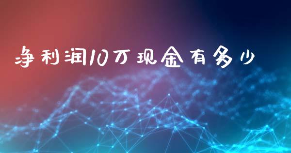 净利润10万现金有多少_https://m.15771688.com_期货开户_第1张
