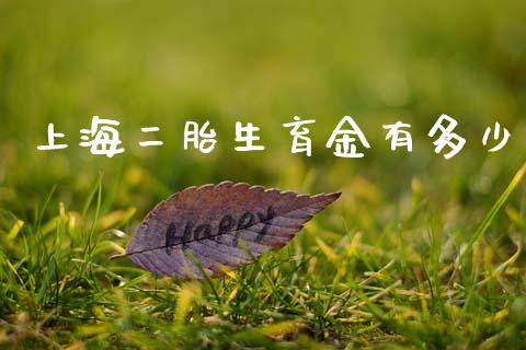 上海二胎生育金有多少_https://m.15771688.com_期货开户_第1张
