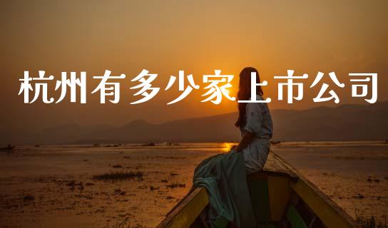 杭州有多少家上市公司_https://m.15771688.com_期货开户_第1张