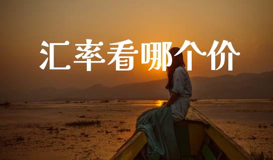 汇率看哪个价_https://m.15771688.com_期货开户_第1张