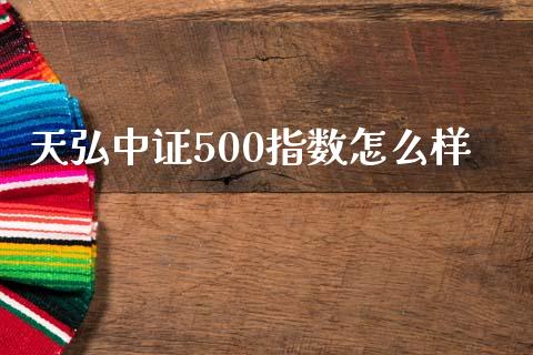 天弘中证500指数怎么样_https://m.15771688.com_道指实时行情_第1张