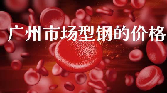 广州市场型钢的价格_https://m.15771688.com_期货开户_第1张