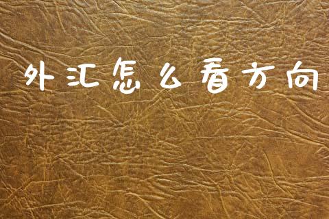外汇怎么看方向_https://m.15771688.com_期货手续费_第1张