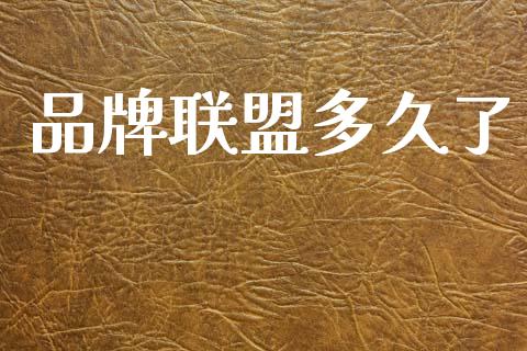 品牌联盟多久了_https://m.15771688.com_美国道指_第1张