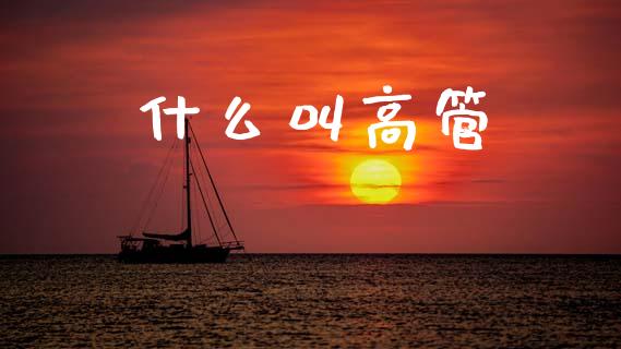 什么叫高管_https://m.15771688.com_期货开户_第1张