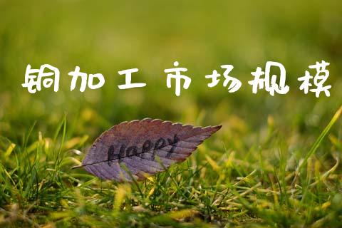 铜加工市场规模_https://m.15771688.com_美国道指_第1张