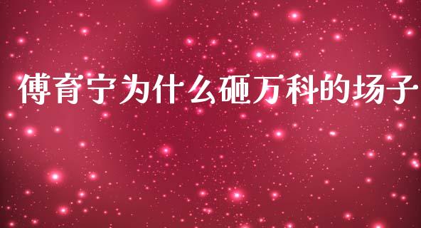 傅育宁为什么砸万科的场子_https://m.15771688.com_期货开户_第1张