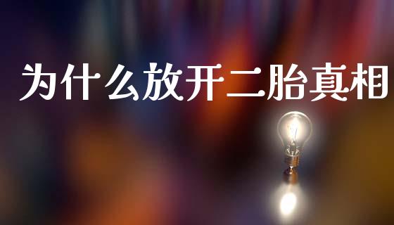 为什么放开二胎真相_https://m.15771688.com_美国道指_第1张