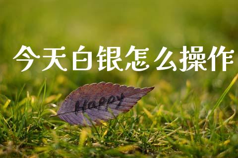 今天白银怎么操作_https://m.15771688.com_道指实时行情_第1张