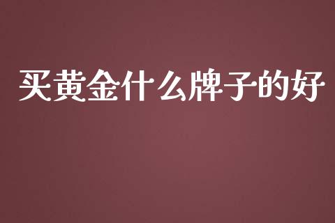 买黄金什么牌子的好_https://m.15771688.com_期货手续费_第1张