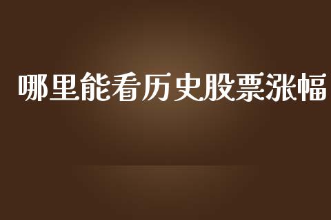 哪里能看历史股票涨幅_https://m.15771688.com_美国道指_第1张