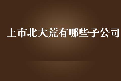 上市北大荒有哪些子公司_https://m.15771688.com_道指实时行情_第1张