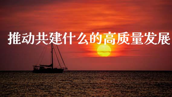 推动共建什么的高质量发展_https://m.15771688.com_期货手续费_第1张