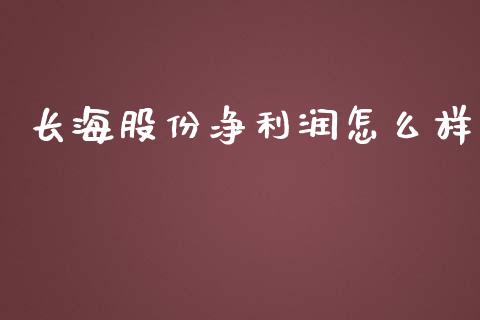 长海股份净利润怎么样_https://m.15771688.com_美国道指_第1张