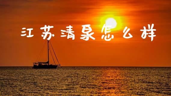 江苏清泉怎么样_https://m.15771688.com_期货手续费_第1张