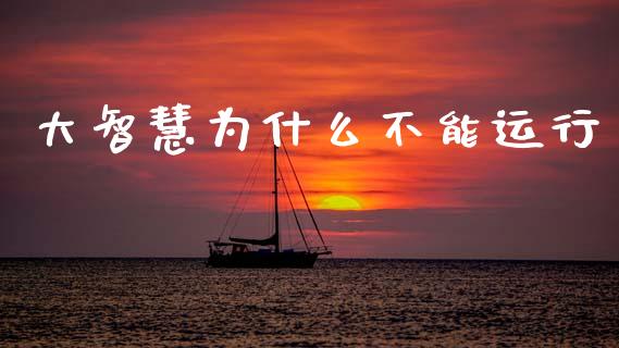 大智慧为什么不能运行_https://m.15771688.com_道指实时行情_第1张